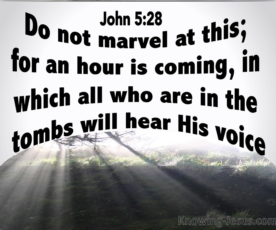 John 5:28 All In The Tombs WIll Hear His Voice (white)